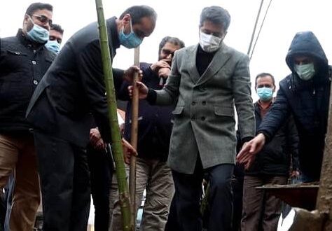 شهردار رشت خبر داد: شهرداری رشت ۵۰۰۰ اصله نهال را در سطح شهر توزیع می‌کند