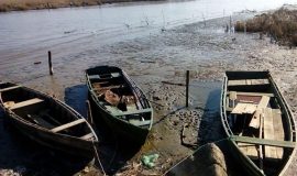 تالاب بین المللی انزلی از رویا تا واقعیت