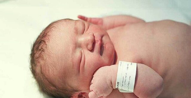 کاهش ۳.۷ درصدی موالید در ۱۴۰۱ / گیلان؛ سالخوردهترین استان کشور